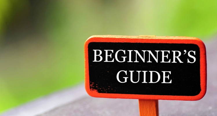Beginner's guide to self-directed ira