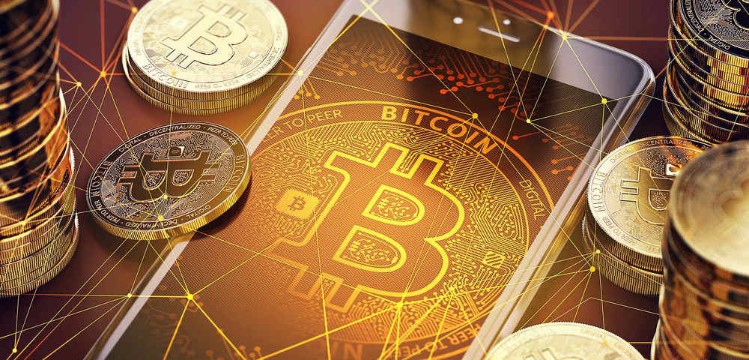 Crypto IRA 8 pocket bitcoin 401k