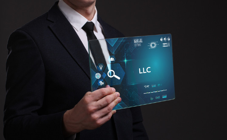 The Self-Directed IRA Trust 1 Using a Trust instead of an llc
