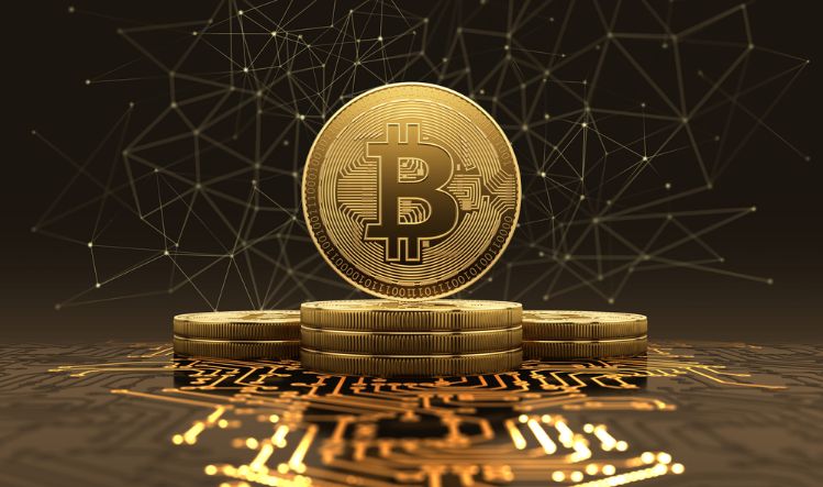 Bitcoin Investing with a Self-Directed IRA 7 Bitcoin Investing with a Self-Directed IRA